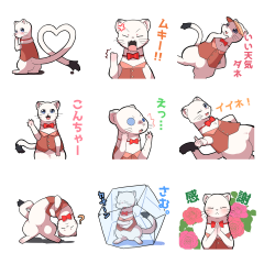 ６