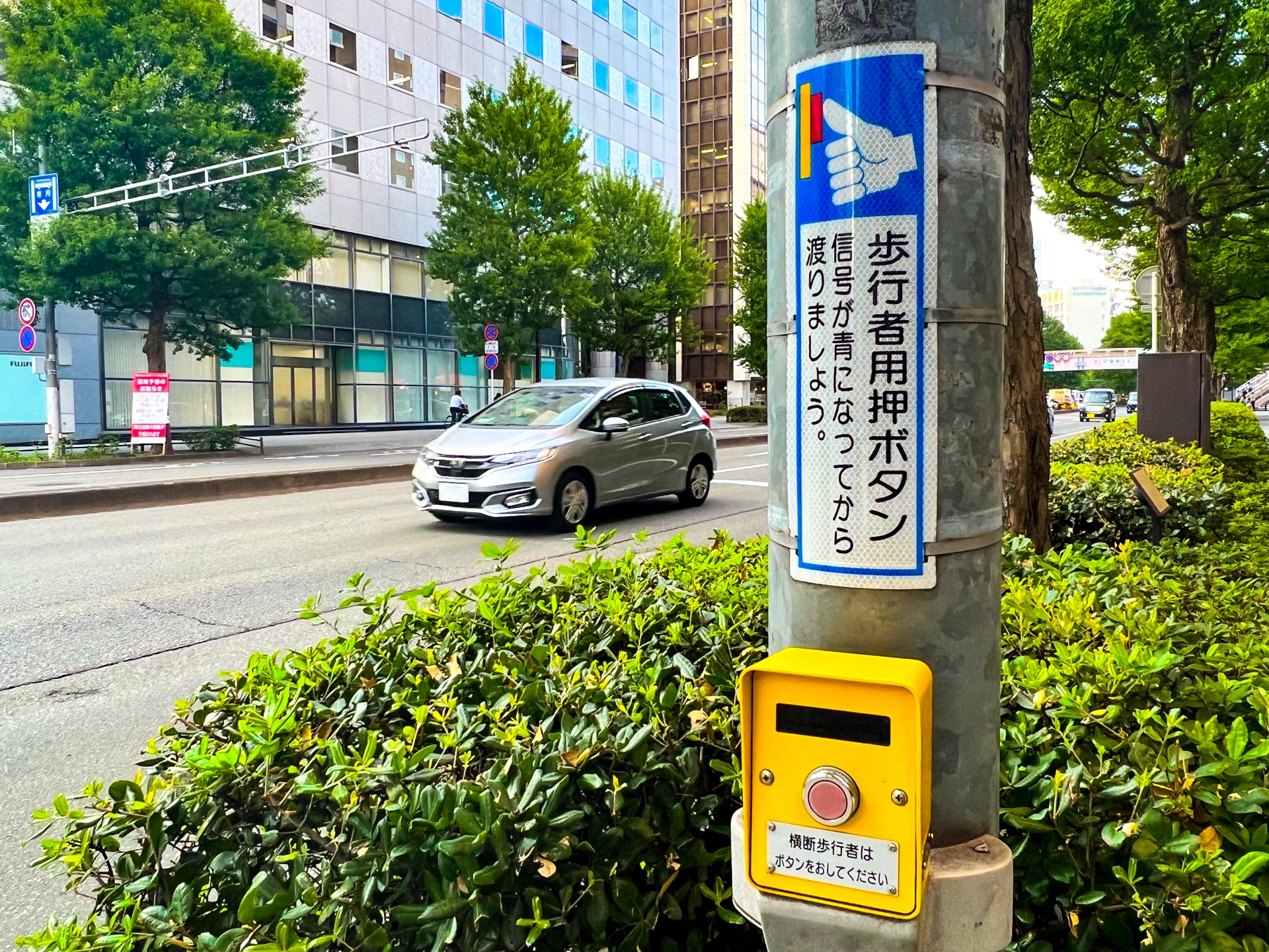道路